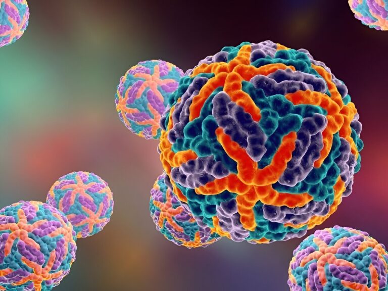 Travel-linked dengue cases in US peaked in 2019: Report