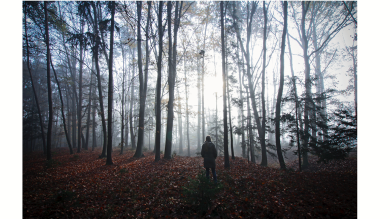 Updating Your Notion of Your self