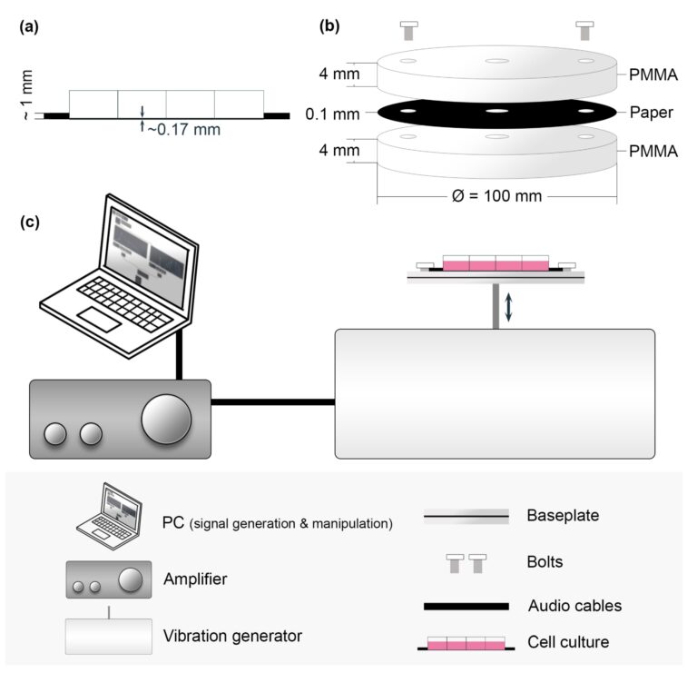 Analysis investigates music’s results on cells with implications for diabetes remedy