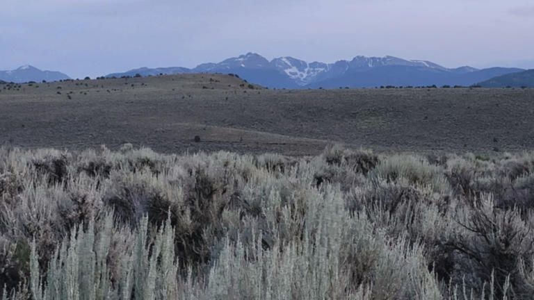 How Out of doors Yoga Fully Modified the Method I Apply